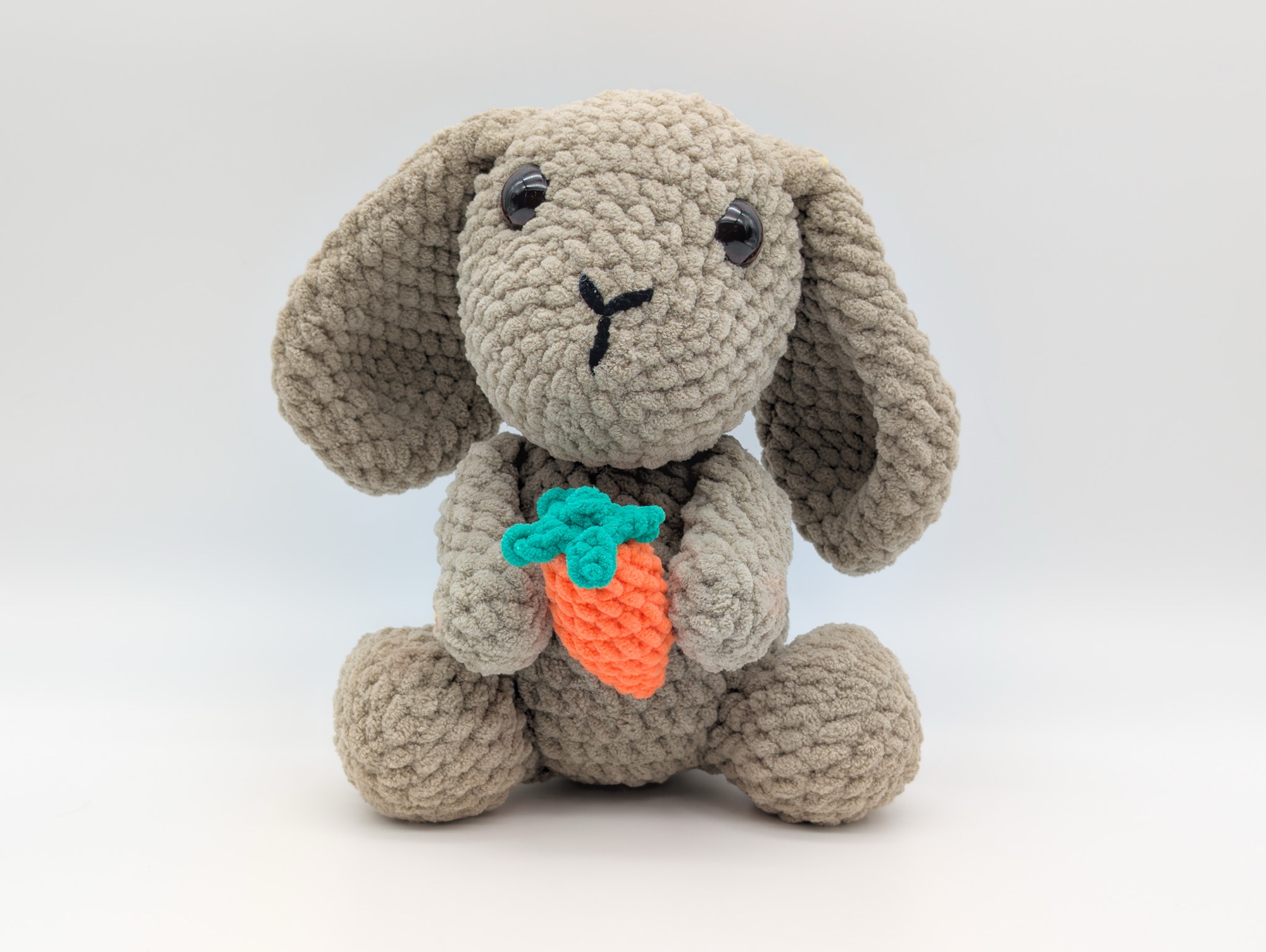 Rabbit with a Carrot