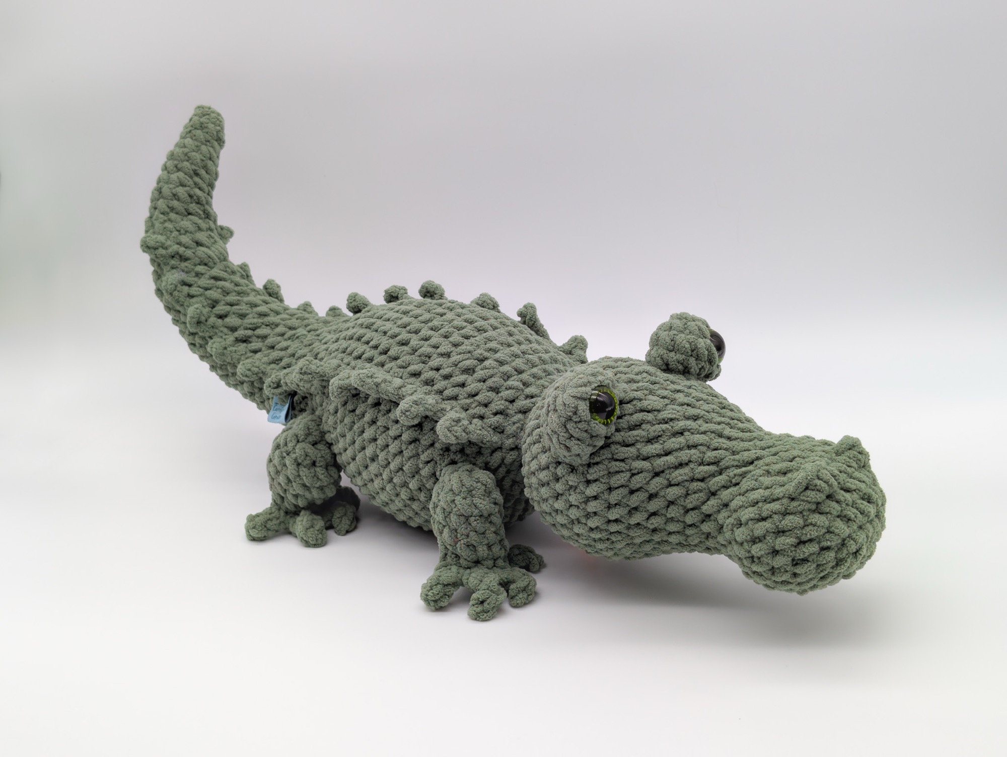 Crocodile