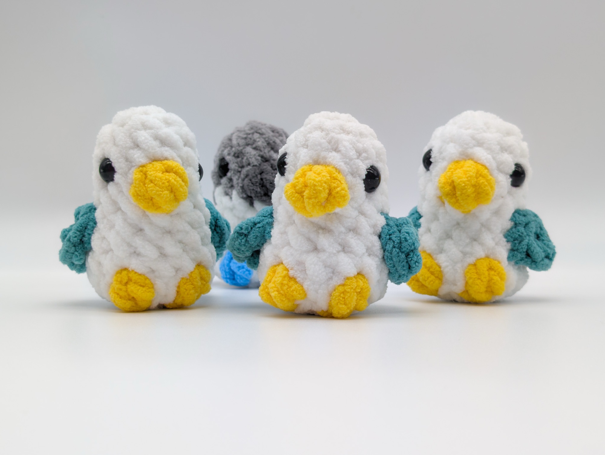 Seabirds